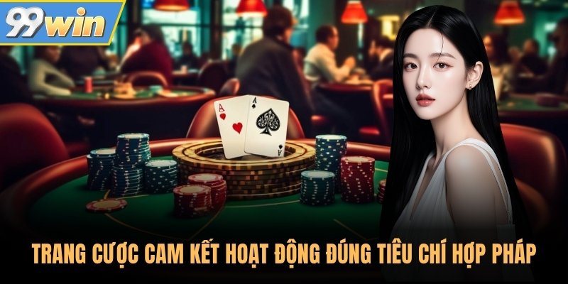 Trang cược cam kết hoạt động đúng tiêu chí hợp pháp