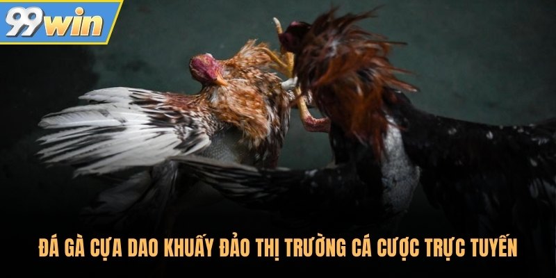 Đá gà cựa dao khuấy đảo thị trường cá cược trực tuyến