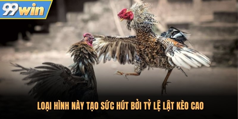 Loại hình này tạo sức hút bởi tỷ lệ lật kèo cao