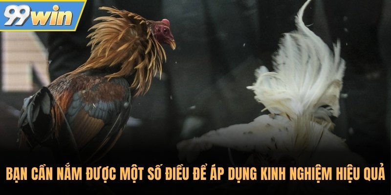 Bạn cần nắm được một số điều để áp dụng kinh nghiệm hiệu quả Bạn cần nắm được một số điều để áp dụng kinh nghiệm hiệu quả