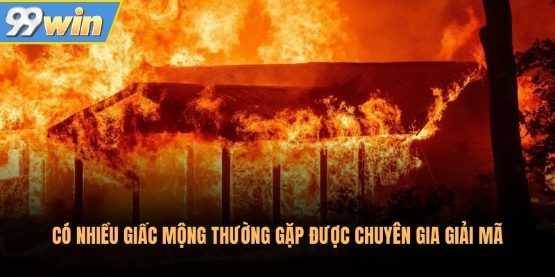 Có nhiều giấc mộng thường gặp được chuyên gia giải mã